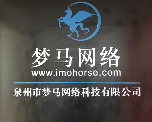 泉州梦马网络科技 驱动数字未来的新兴力量