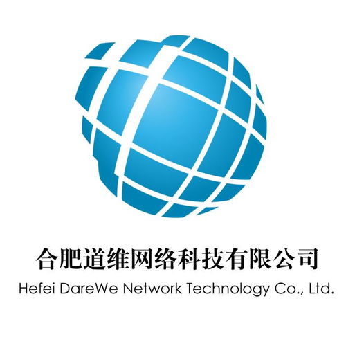 合肥道维网络科技 驱动数字化转型的先锋力量